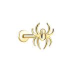 Örümcek Tragus Piercing