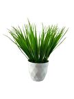 Yapay Çiçek Beyaz Saksıda Saz Ot Yeşil Dekoratif Masa Çiçeği