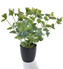 Yapay Çiçek Okaliptus Siyah Plastik Saksılı Dekoratif Süs Çiçeği