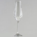 Jumbo Tulipa Şampanya Kadeh Takımı