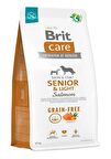Brit Care Senior Light Tahılsız Somonlu 12 kg Yaşlı Köpek Maması