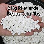 2 Kg Beyaz Çakıl Taş Teraryum süsü Fanus Çakıl Taşı Dekoratif Akvaryum Taşı1-2 cm çaplı