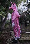 Unicorn Kostümü Yetişkin | Unicorn Pijama Tulum Kostüm Pembe