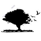 Gün Batımı Etiket Siticker 17cm