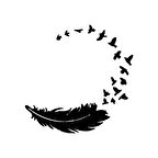 Kuş Tüyü ve Kuşlar Sticker Yapıştırma 17cm