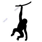 Maymun Monkey Sticker Yapıştırma 17cm