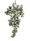 Yapay Çiçek Sarkan Çiçek Bordo Yeşil Fare Kulağı Şimşir Yapay Sarmaşık  60*30cm UV Katkılı Güneşe Dayanıklı