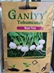 Ganiyy Beyaz Turp Tohumu Kaliteli Güvenilir