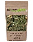 BenimAktar Kırk Kilit Otu Yeni Mahsül 250 Gr