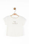 Kız Çocuk Camelo Tshirt