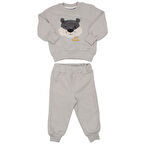 Erkek Bebek Gri Roar Kaplan Armalı 2'li Takım
