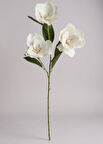 Yapay Çiçek Pastel Ekru Manolya Islak Doku 3 Kafalı Uzun Dal Çiçek Flowers 80cm