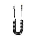 Nettech NT-AC09 Plastik 100 Cm Type-C To Aux Kablosu (Siyah)