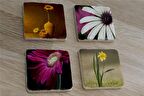Papatya ve Çiçekler Doğal Taş Bardak Altlığı 4'lü set - Natural Stone Coasters