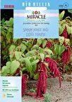 Miracle Sarkan Kırmızı Amaranthus(Horoz İbiği) Çiçeği Tohumu( 1500  tohum)