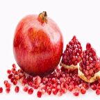 Tüplü Hicaz Nar Fidanı