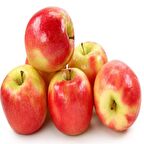 Tüplü Pink Lady Elma Fidanı