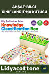 Premium Zeka Geliştirici Kişisel Gelişim Çocuk Ahşap Bilgi Sınıflandırma Kutusu Eğitici Öğretici