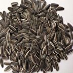 Doğal Siyah Çerezlik Çitlemelik  Ayçiçeği Çekirdek Tohumu (40 adet)