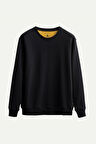 Unisex Basic Regular Sweatshirt - Ruga - Tar