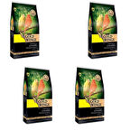 Gold Wings Premium Kanarya Yemi 1 Kg X 4 Adet