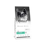 Molly Mini Adult Hypoallergenic Somonlu Yetişkin Köpek Maması 8 Kg