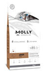 Molly Hipoalerjenik Kuzulu Yetişkin Kedi Maması 15 Kg