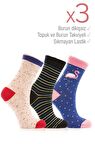 Miorre 3lü Kadın Soket Çorabı