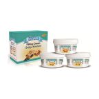 Vizyon Dolgu Kreması Portakallı 6 kg