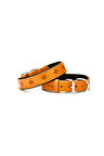 Yumuşak Dokulu Pati Desenli Köpek Boyun Tasması Kamel SBT-4036 L