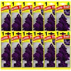 Little Trees Midnight Chic Asma Oto Kokusu 12 Adet