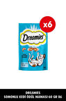 Dreamies Somonlu Kedi Maması 60 gr 6x