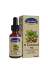 Mecitefendi At Kestanesi Yağı 20 Ml