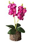 Yapay Çiçek Orkide Odun Saksılı Fuşya 