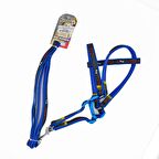 EuroDog Köpek Uzatma + Göğüs Tasması Mavi 120cm