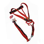 EuroDog Köpek Uz.+Göğüs Tasması Kırmızı 25mm 120cm