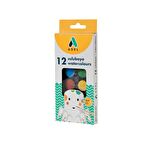 Adel Suluboya 24 mm 12 Renk