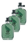 Avon Scent Green Fougere Erkek Parfüm Edt 30 Ml. Üçlü Set