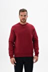 Arma Erkek Regular Fit Bisiklet Yaka Sweatshirt 