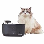 KIWI PETS KPF 10555 KEDI SU PINARI