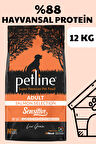 Petline Sensitive Skin & Coat  Deri ve Tüy Sağlığı İçin Somonlu Yetişkin Kuru Köpek Maması 12Kg