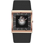 SLAZENGER SL.09.2209.1.02 ERKEK KOL SAATİ