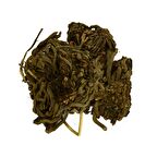 LokmanAVM Kediotu Kökü Doğal 100 Gr Paket