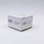 Fuyaku Kilitli Torba 4x4 (Yedek/Kına/Çerez/Saklama Poşeti) 2.000 Adet