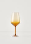 Lisa Kadeh Amber (490 cc)