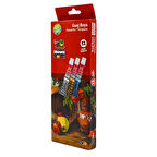 Nova Color 7 ml 12 Renk Tüp Guaj Boya (NC-100)