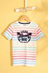 Us Polo Erkek Çocuk t-shirt