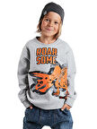 Roar Erkek Çocuk Gri Sweatshirt