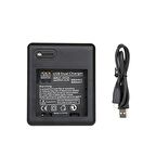 Kingma Xiaomi Uyumlu  Yi Şarj İkili Batarya Şarj Cihazı