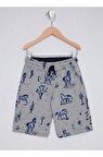 Erkek Çocuk Gri Melanj Desenli Şort